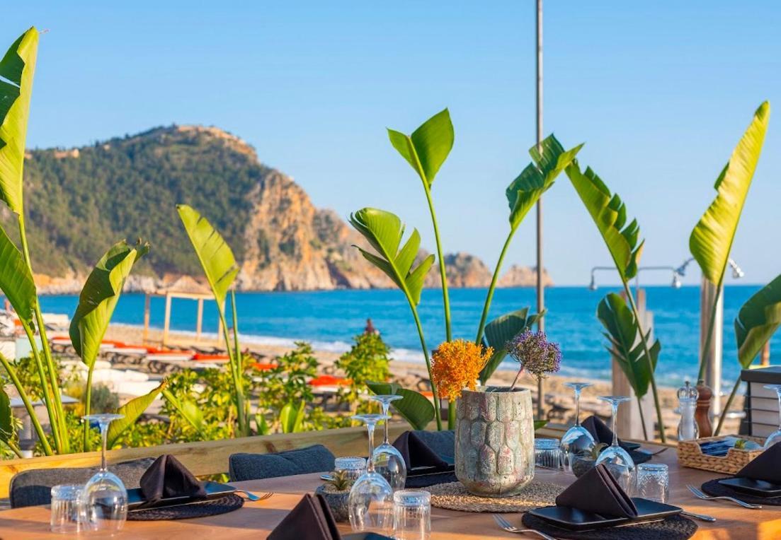 Sa Apartments! 500m To The Cleopatra * Alanya